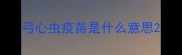 弓心虫疫苗是什么意思