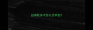 拉布拉多犬怎么分辨血