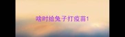 啥时给兔子打疫苗