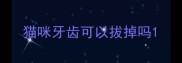 猫咪牙齿可以拔掉吗
