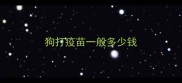 狗打疫苗一般多少钱