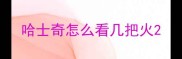哈士奇怎么看几把火