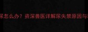 母猫生产期漏尿怎么办资深兽医详解尿失禁原因与科学应对措施
