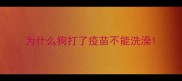 为什么狗打了疫苗不能洗澡