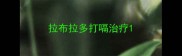 拉布拉多打嗝治疗