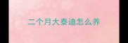 二个月大泰迪怎么养