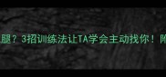 小拉布拉多爱抱腿3招训练法让TA学会主动找你附幼犬互动指南