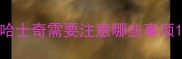 哈士奇需要注意哪些事项
