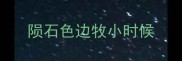 陨石色边牧小时候
