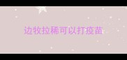 边牧拉稀可以打疫苗