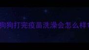 狗狗打完疫苗洗澡会怎么样