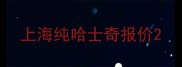 上海纯哈士奇报价