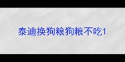 泰迪换狗粮狗粮不吃
