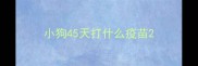 小狗45天打什么疫苗