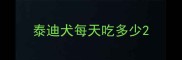 泰迪犬每天吃多少