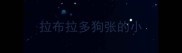 拉布拉多狗张的小