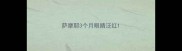 萨摩耶3个月眼睛泛红