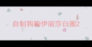 自制狗狗伊丽莎白圈