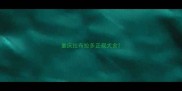 重庆拉布拉多正规犬舍