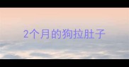 2个月的狗拉肚子