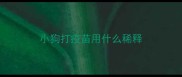小狗打疫苗用什么稀释