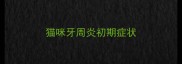 猫咪牙周炎初期症状
