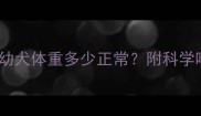 3个月金毛幼犬体重多少正常附科学喂养全攻略