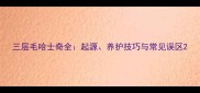 三层毛哈士奇全起源养护技巧与常见误区