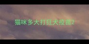 猫咪多大打狂犬疫苗