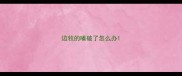 边牧的嘴破了怎么办