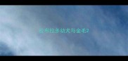 拉布拉多幼犬与金毛