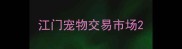 江门宠物交易市场