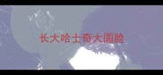 长大哈士奇大圆脸