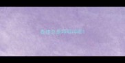 泰迪总是哼唧哼唧