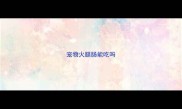 宠物火腿肠能吃吗