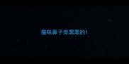 猫咪鼻子旁黑黑的