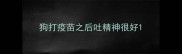狗打疫苗之后吐精神很好
