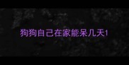 狗狗自己在家能呆几天