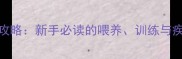 小狗到家全攻略新手必读的喂养训练与疾病预防指南