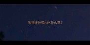 狗狗连拉带吐吃什么药