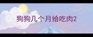 狗狗几个月给吃肉
