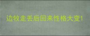 边牧走丢后回来性格大变