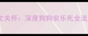 科学告别与人文关怀深度狗狗安乐死全流程及注意事项