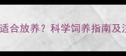 博美犬多久适合放养科学饲养指南及注意事项全