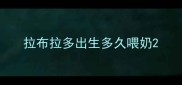拉布拉多出生多久喂奶