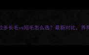 拉布拉多长毛vs短毛怎么选最新对比养狗必看