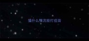 猫什么情况能打疫苗