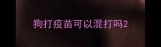 狗打疫苗可以混打吗