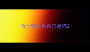 哈士奇以为自己是猫