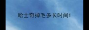 哈士奇掉毛多长时间